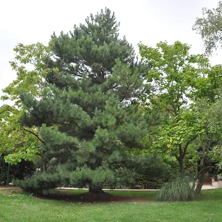 Domaine De Hurlevent Montgaillard-Lauragais