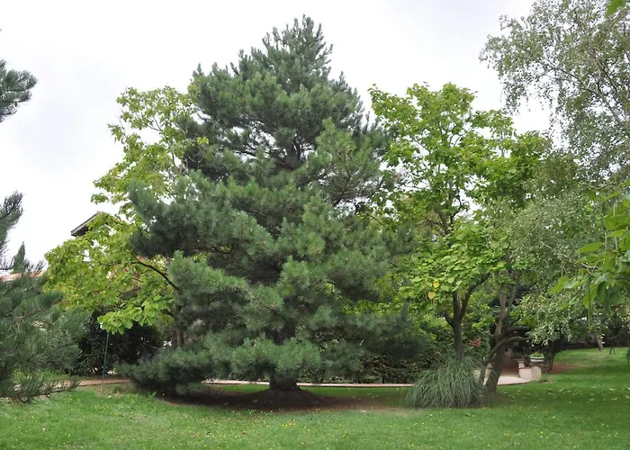 Domaine De Hurlevent Montgaillard-Lauragais